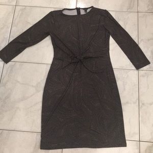 Anne Taylor dress